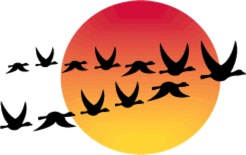 flying_geese
